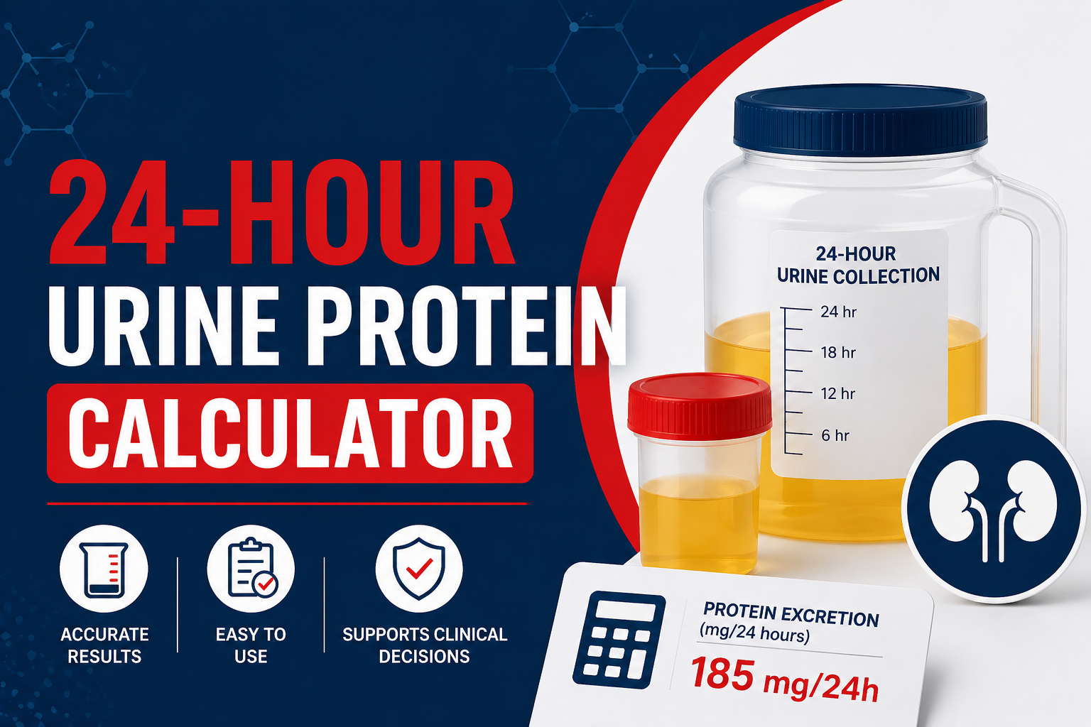 24-hour urine protein